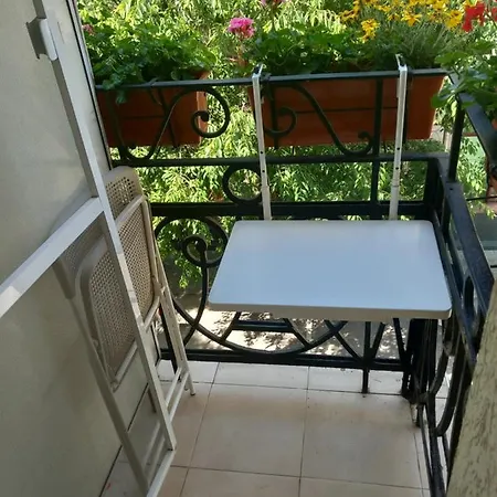 Hotel Three Dolphins With Rooftop Terracе 3*