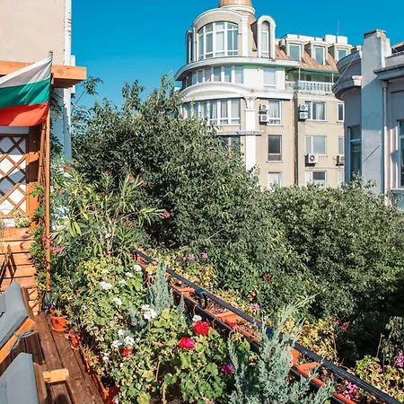 Three Dolphins With A Rooftop Terracе 3*