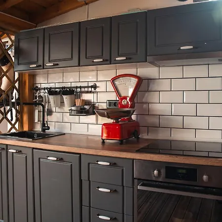 Three Dolphins With A Rooftop Terracе