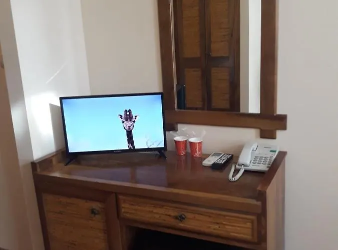 Three Dolphins With A Rooftop Terracе Hotel 3*