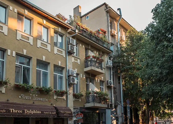 Three Dolphins With A Rooftop Terracе Hotel 3*