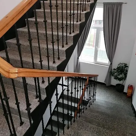 Three Dolphins With A Rooftop Terracе Warna