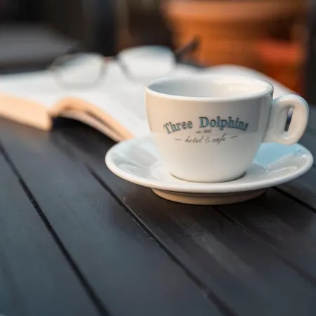 Three Dolphins With A Rooftop Terracе 3* Warna