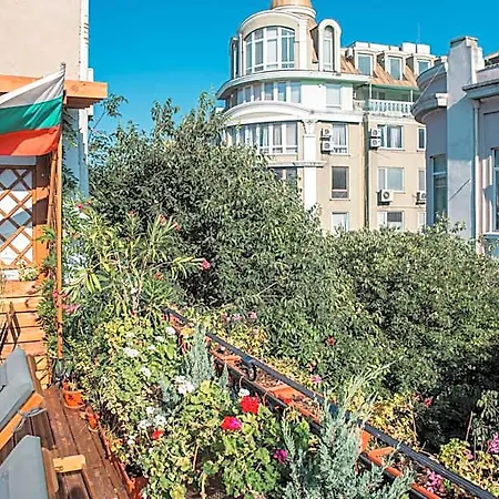Three Dolphins With A Rooftop Terracе 3* Varna