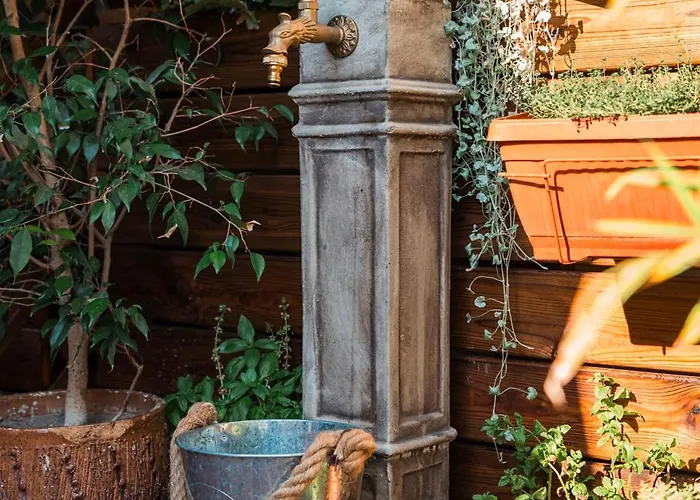 Three Dolphins With A Rooftop Terracе Hotel